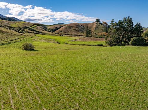 52 Little Pokororo Road, Ngatimoti
