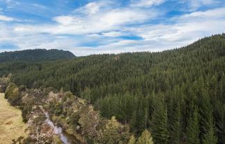 SH 1 Wayby, Wellsford