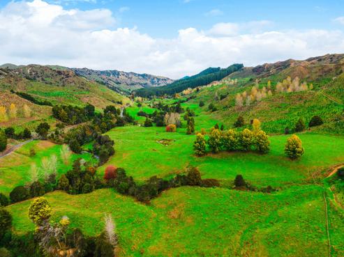 189 Whakamaro Road, Taumarunui