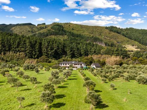 1276 Coast Road, Pencarrow Head