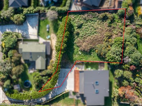 1 Lauriston Street, Andersons Bay