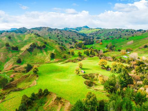 77 Borck Road, Taumarunui