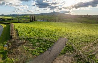  Puketutu Road, Matamata