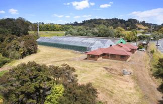 1370 East Coast Road, Redvale