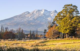 37A Marino Street, Rangataua