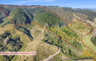 1 State Highway 2, Taneatua