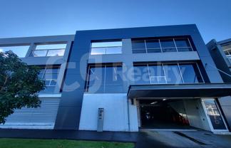 Trendy Affordable Office Ponsonby 