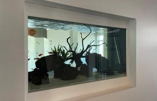 Creative Studio with Natural Light