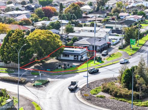 2 Galloway Street, Hamilton East
