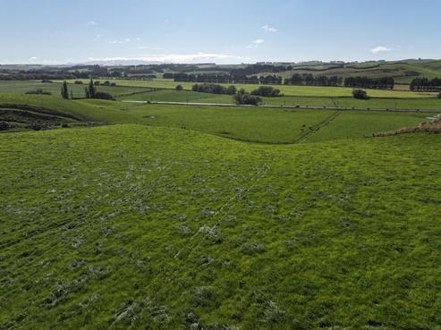 187 Waikaka Valley Highway, Gore Surrounds