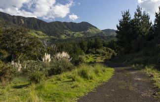 Lot 3 and 4, 169 Tunatahi Road, Panguru