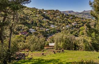 46 Park Terrace, Lyttelton
