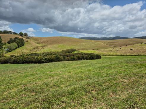 11 James Joseph Lane, Matakana