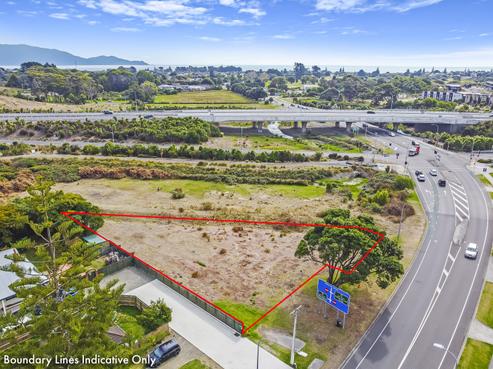 162 Te Moana Road, Waikanae