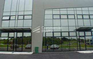 A Grade 360 Sqm In Penrose