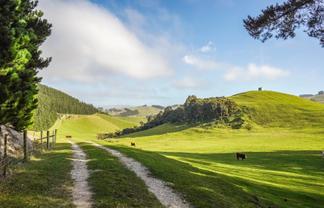 782 Glendhu Road, Greta Valley