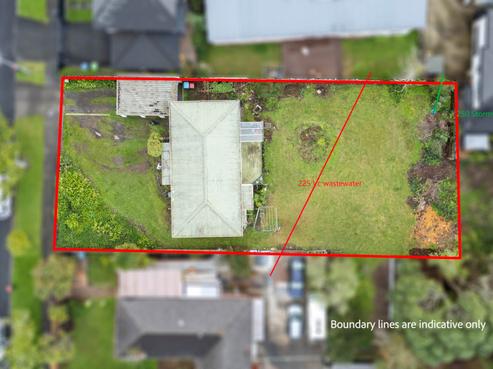 31 Holly Street, Avondale