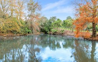  Woodlyn Drive, Karaka