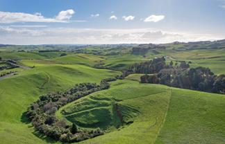 119 Te Papatapu Road, Raglan