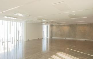 Luxury 152 sqm Office - Prime Parnell