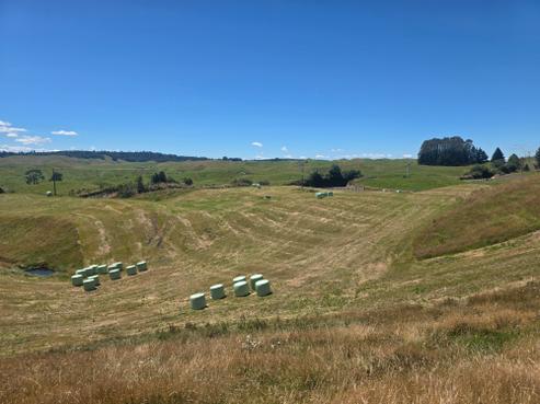 473 Otake Road, Lake Taupo (West)