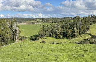 140 Te Arai Point Road, Te Arai