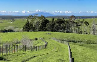 140 Te Arai Point Road, Te Arai