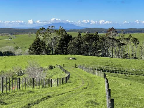 140 Te Arai Point Road, Te Arai