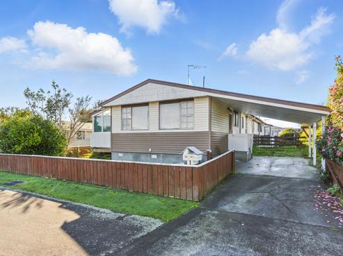 12 Douglas Street, Levin