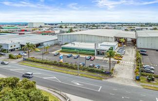 Gem in the Wiri crown