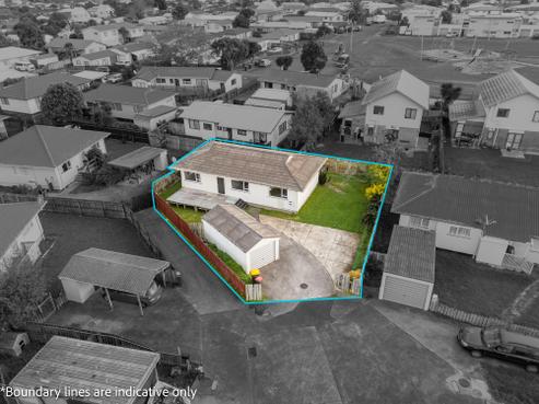 49 Dungarvon Place, Clendon Park