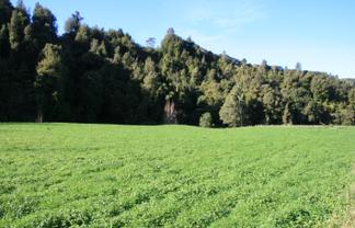 268 Piko Road, Okoki