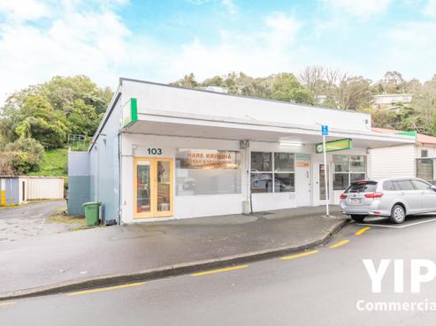 103 Newlands Road, Newlands