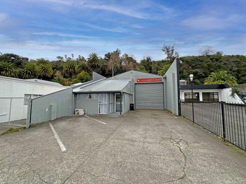 25 Carlyle Street, Napier South
