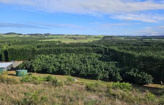  Heath Road, Waiharara