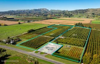 83 Mount Erin Road, Havelock North