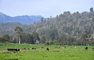106 Granite Creek Road, Karamea