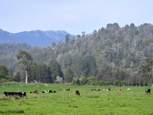 106 Granite Creek Road, Karamea