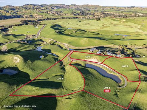 2333 Puketitiri Road, Puketapu
