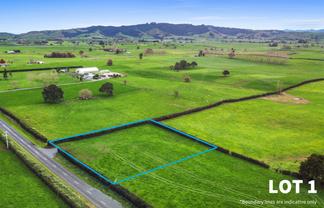 356 Mangateparu Loop Road, Morrinsville