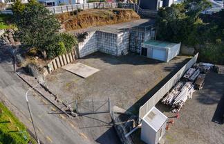 City Fringe Yard with Small Shed