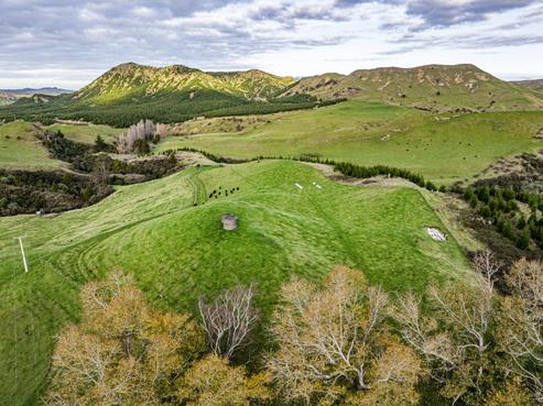 828 Matahorua Road, Tutira