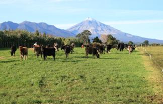 At/192-194 Dover Road, Okato