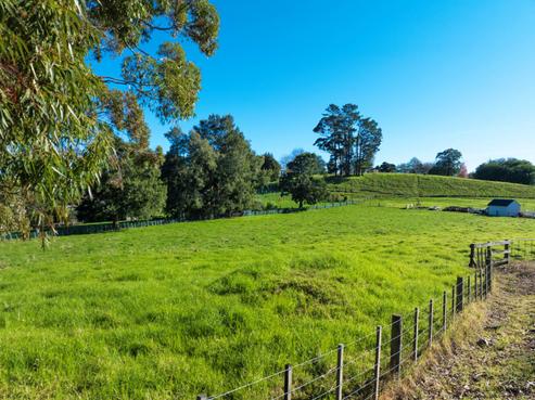 321 Tuhimata Road, Paerata