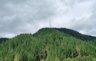 49 Mangahoe Road, Owhango