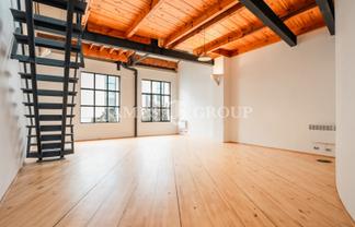 CHARACTER STUDIO OFFICE IN PARNELL