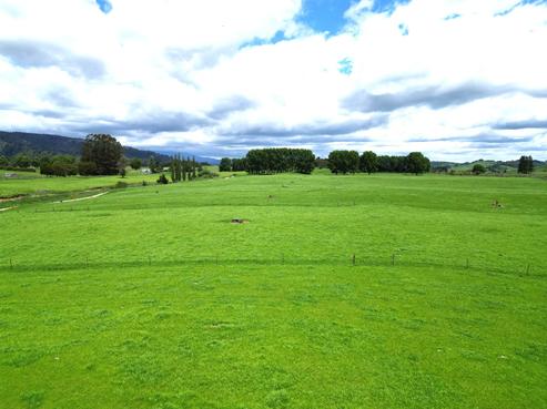 2646 State Highway 4, Owhango