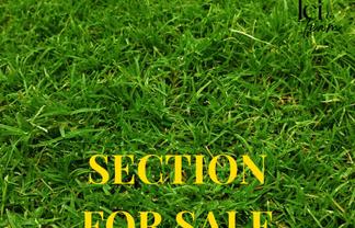 31 or 29 McMenamin Place, Fairview Heights