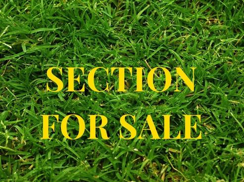 31 McMenamin Place, Fairview Heights