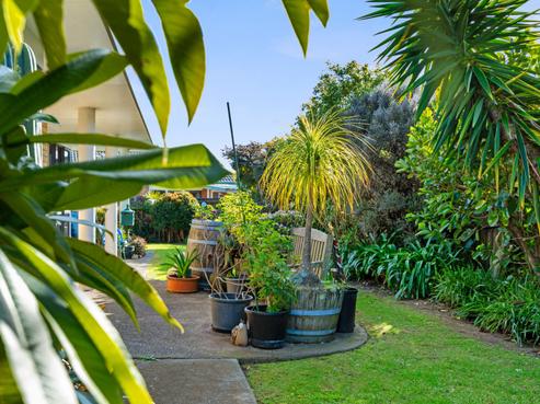 29 Luculia Drive, Mount Maunganui
